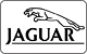 Jaguar  Jaguar